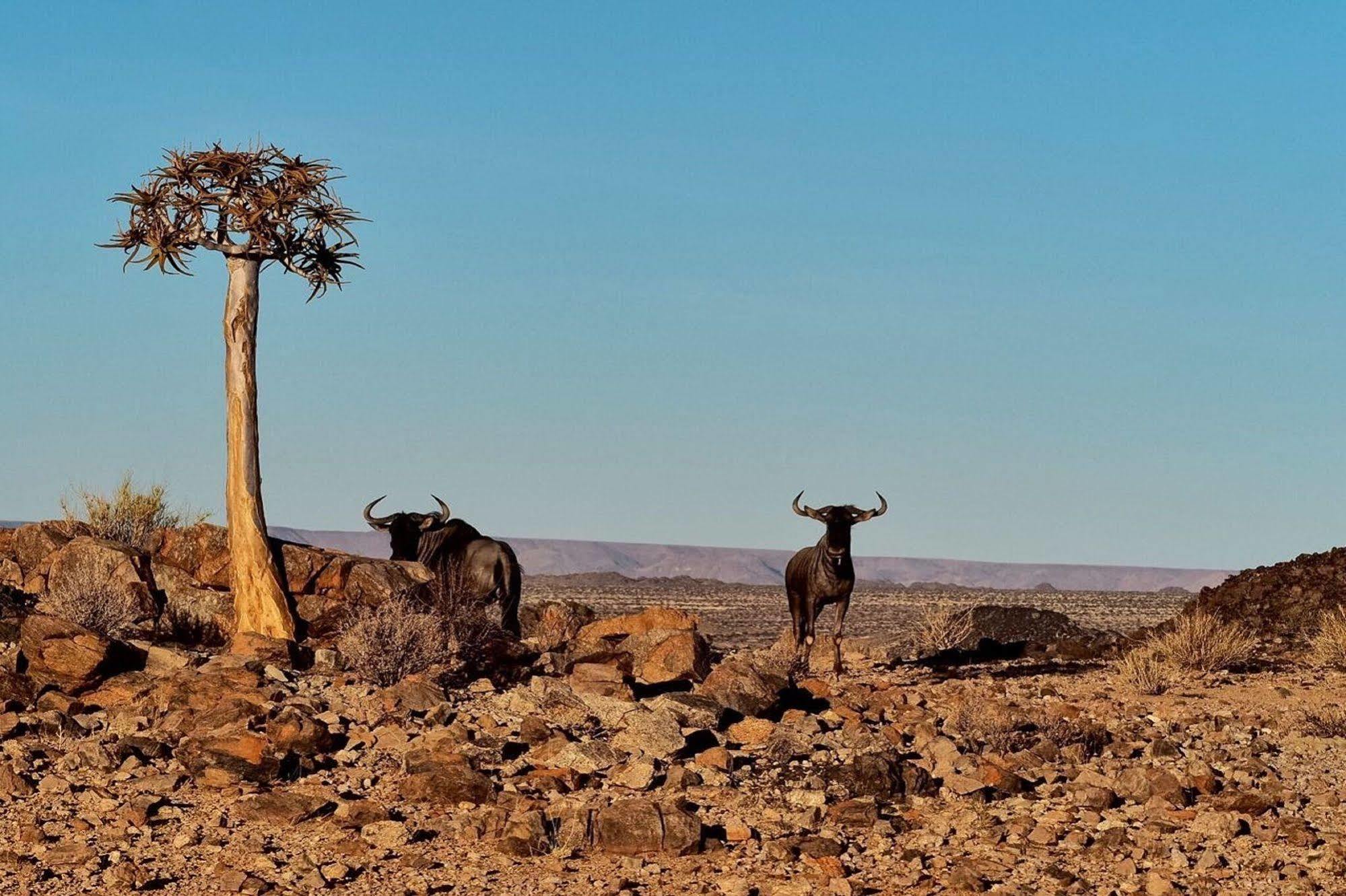 Tutwa Desert Lodge Augrabies 외부 사진